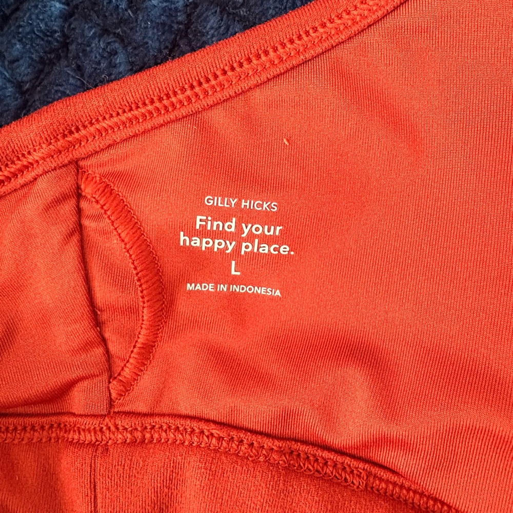 Gilly Hicks Burnt Orange Sports Bra Size Large - Picture 3 of 3